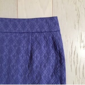 [BR] Pencil Skirt NWOT